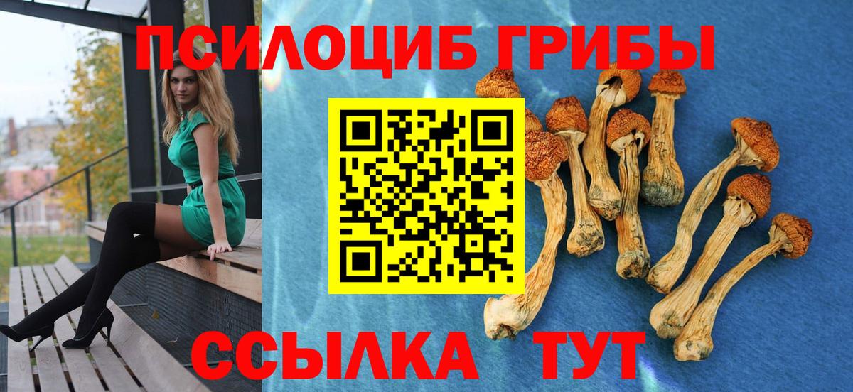 Галлюциногенные грибы мухоморы  хочу наркоту  Чистополь  Вход с VPN 