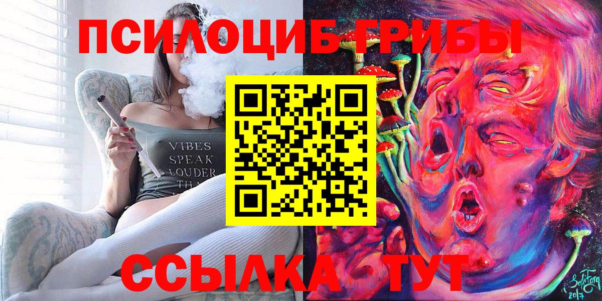 Псилоцибиновые грибы Cubensis Чистополь