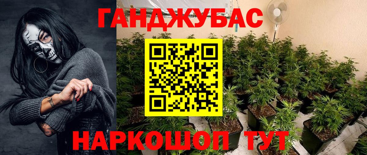 Марихуана индика  Бошки марихуана план  Чистополь  Каннабис конопля  Вход с VPN 